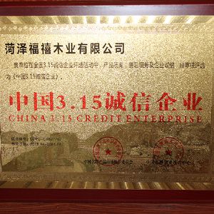 中國(guó)3.15誠(chéng)信企業(yè)